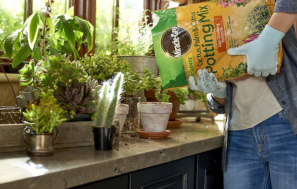 loam soil for indoor plants