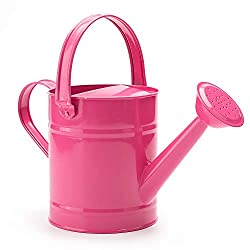 Watering Can